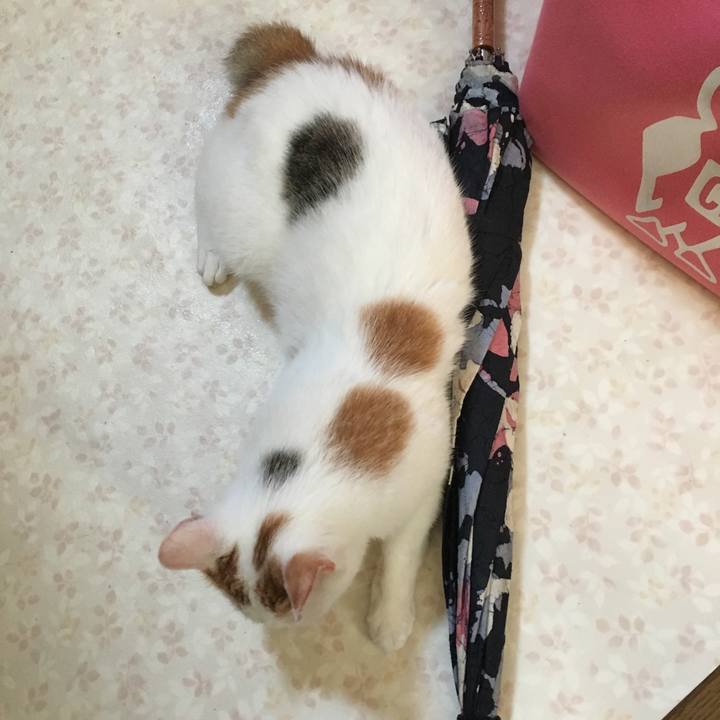 C8169853 68e3 4dda 8e97 4010126a8ce1