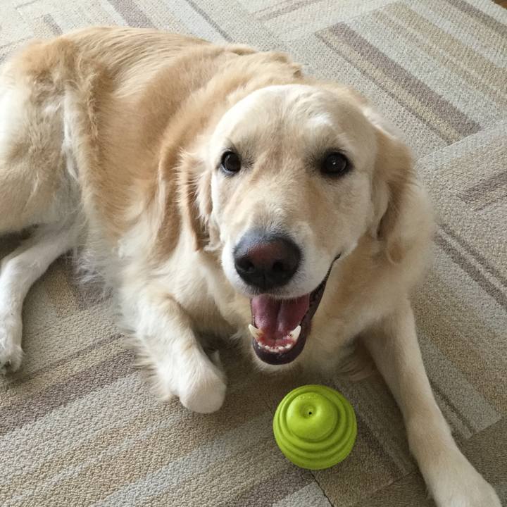 C817bda2 36b2 48cd bc00 e3d5490b2907