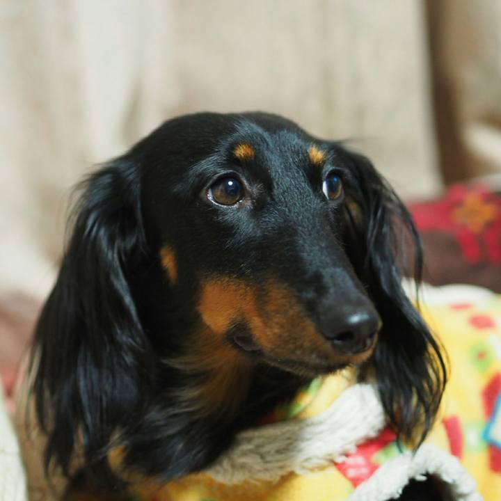 C818219f 8389 4729 8660 09768c7202c2