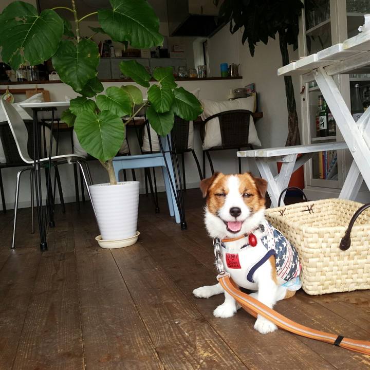 C818275b ab94 4be6 819e fa6a302f3372