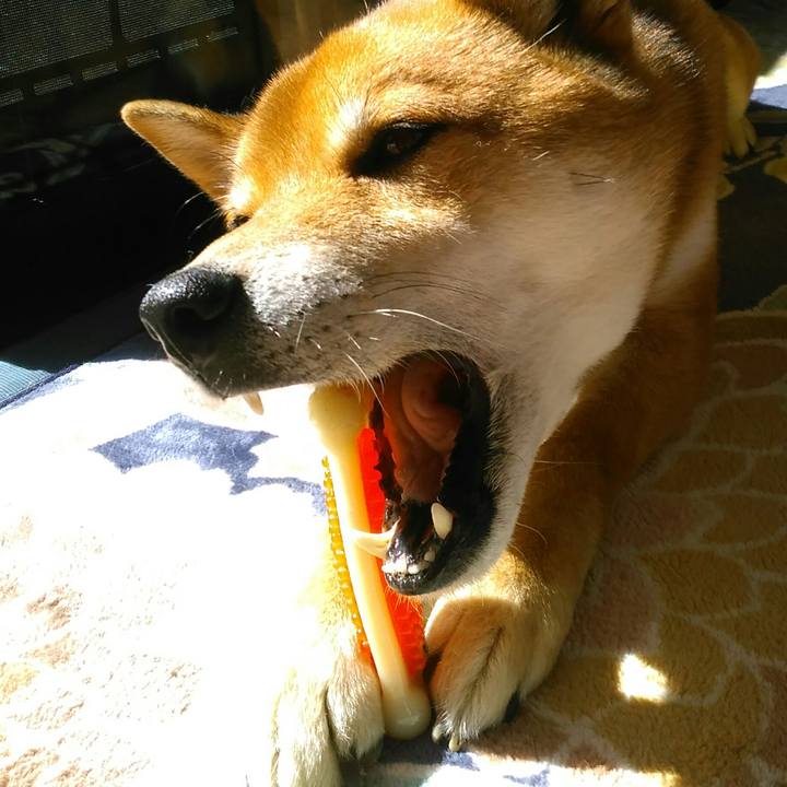 C8182d0d a3c3 49df a8c2 04fd51ca2d68