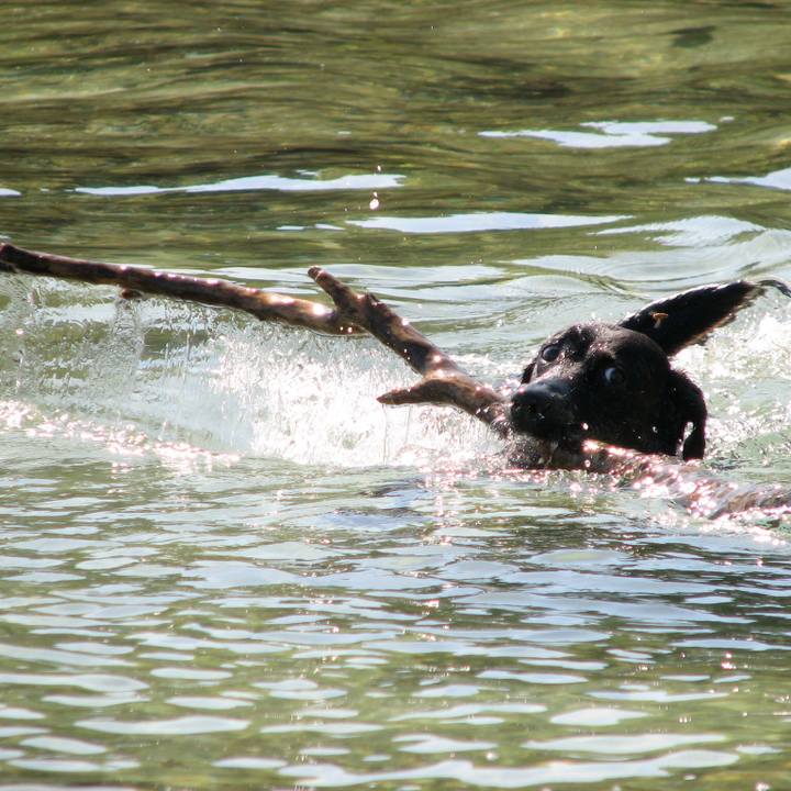 C8199d6c 7d77 4683 9701 d3880c1ec5c8