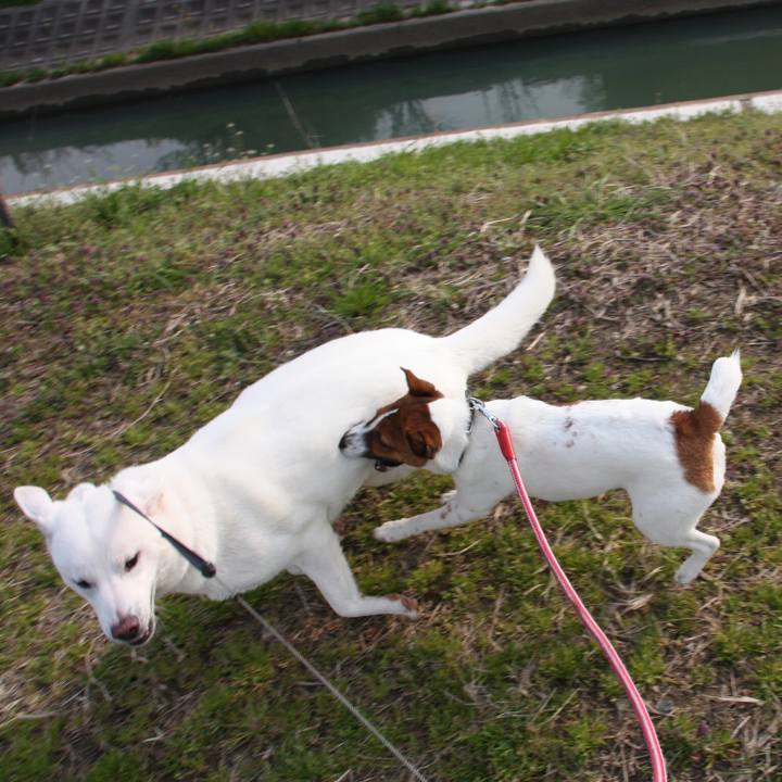 C81a9990 d6cb 4a10 82e8 84765ae3c0e2