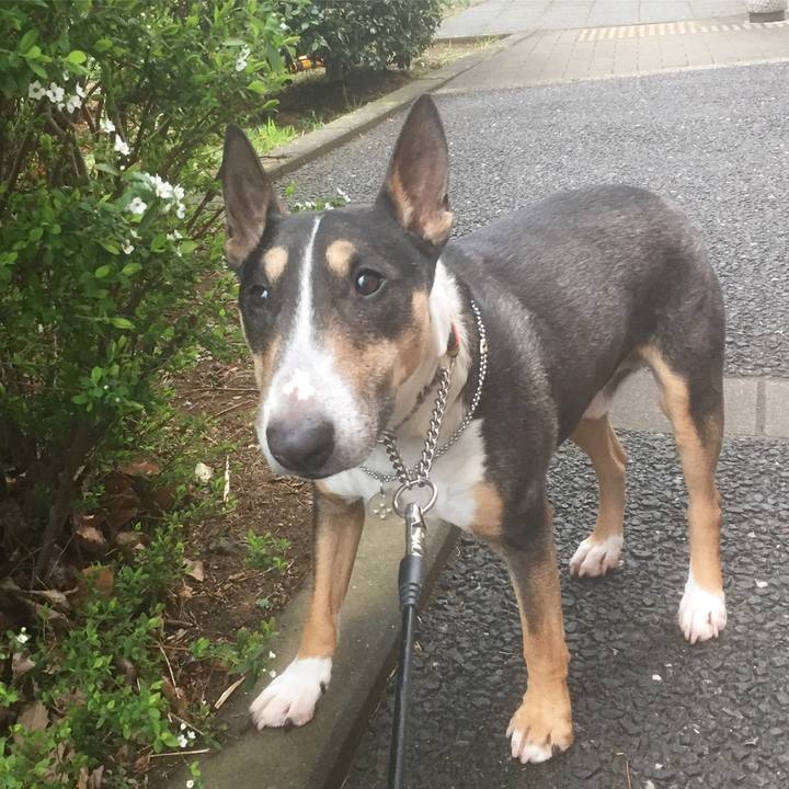 C81ae0c5 3208 4692 9be4 fa8cdb63730c