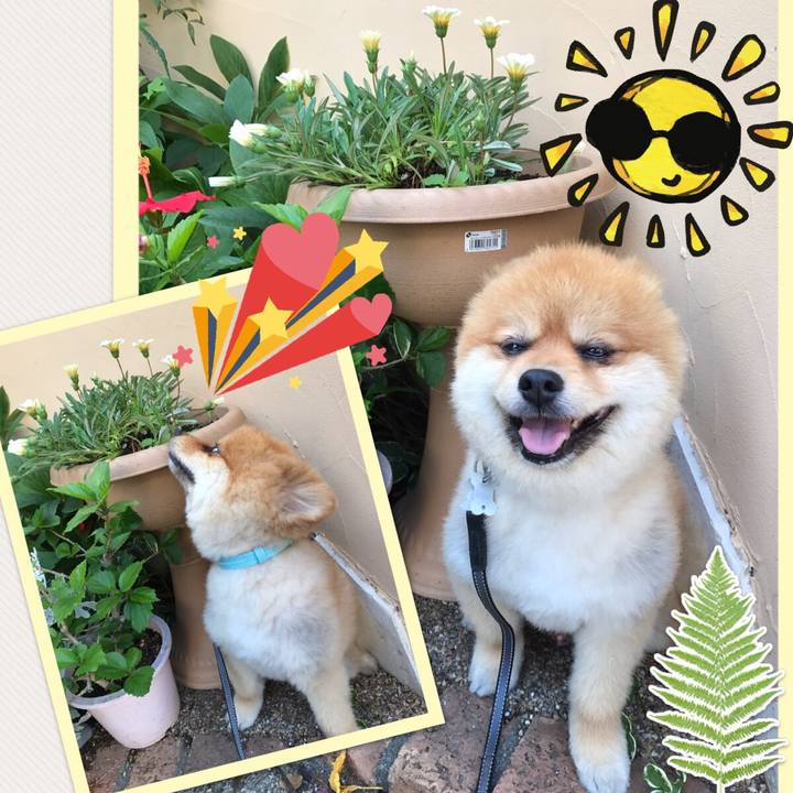 C81b9c6a 587b 4f3a 99da fe2e5d663c61