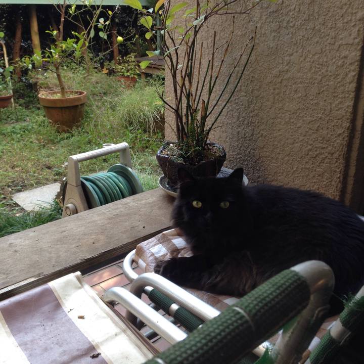 C81d0521 58ca 4dc0 9951 e27a8005f3c1