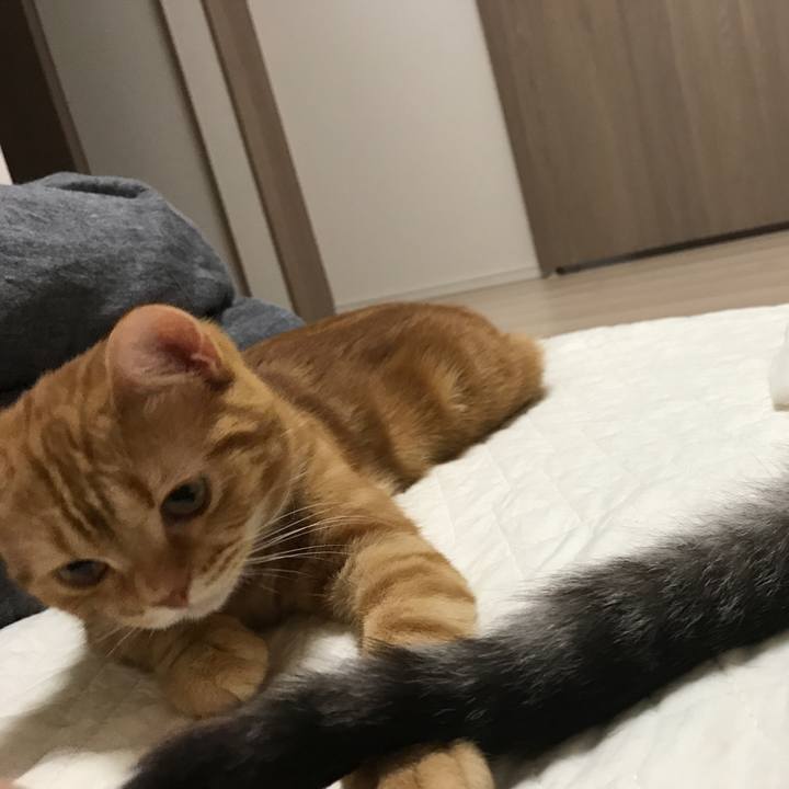 C81d063e 077c 4a06 bdf6 9ca2f543cd3c