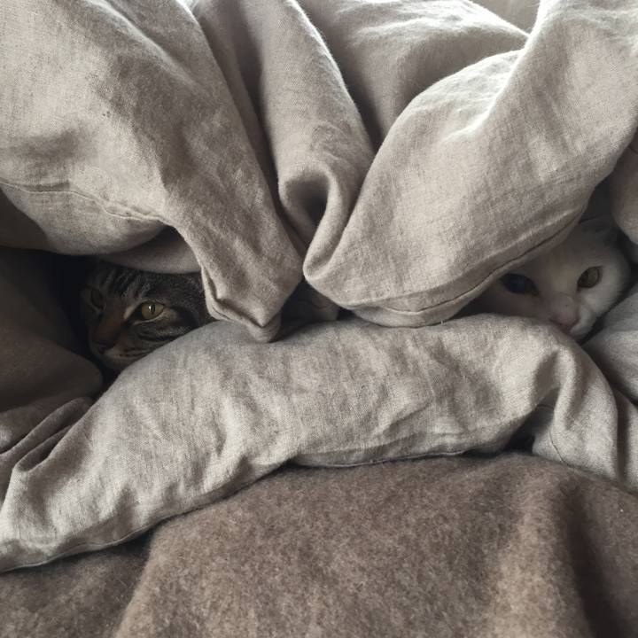 C81e788f 1835 4bf7 8464 881f3028f921