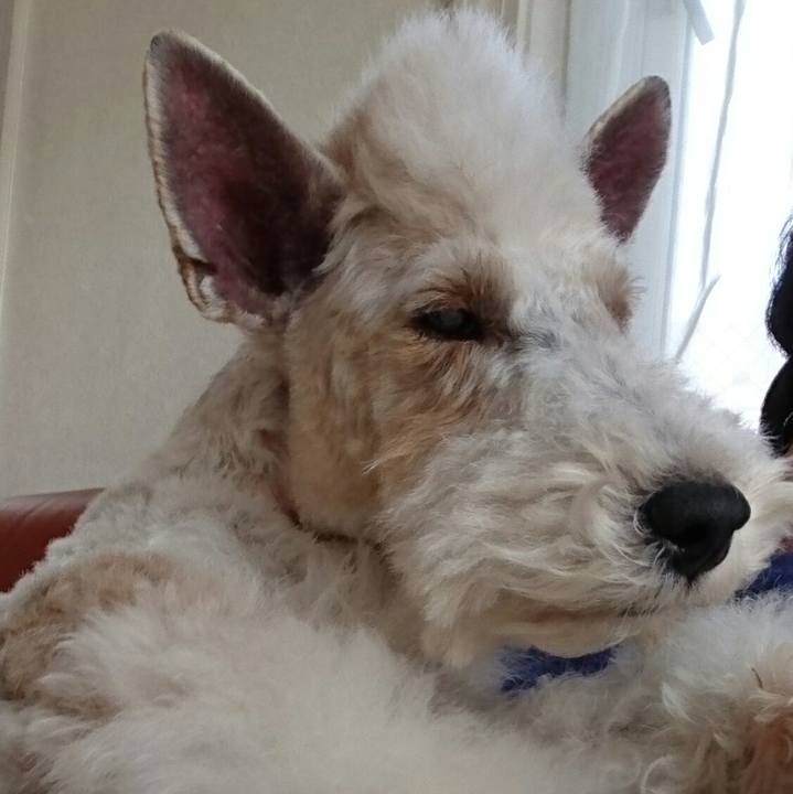 C81ef4b9 194b 4dcc a3e9 b020631f6476