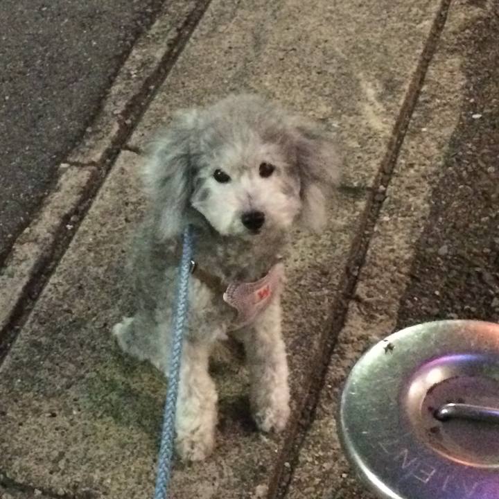 C81f31be c172 4332 aa7c d52f27dcb253