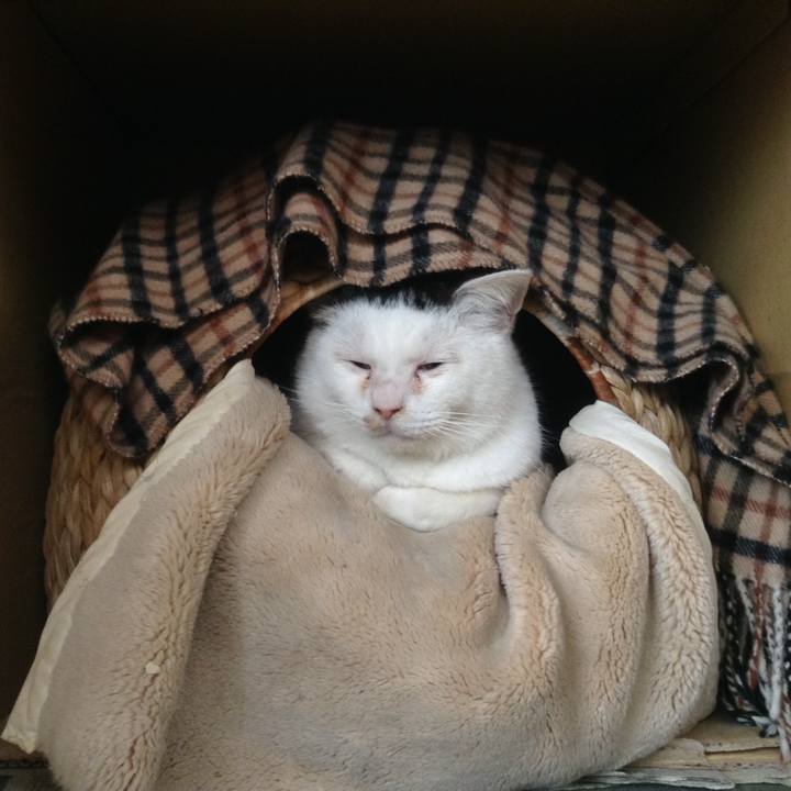 C820197c 7757 47b9 811c 02ee539559b9