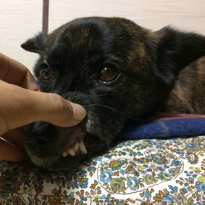 C8204343 5951 459f a6b9 ff140bf260ad