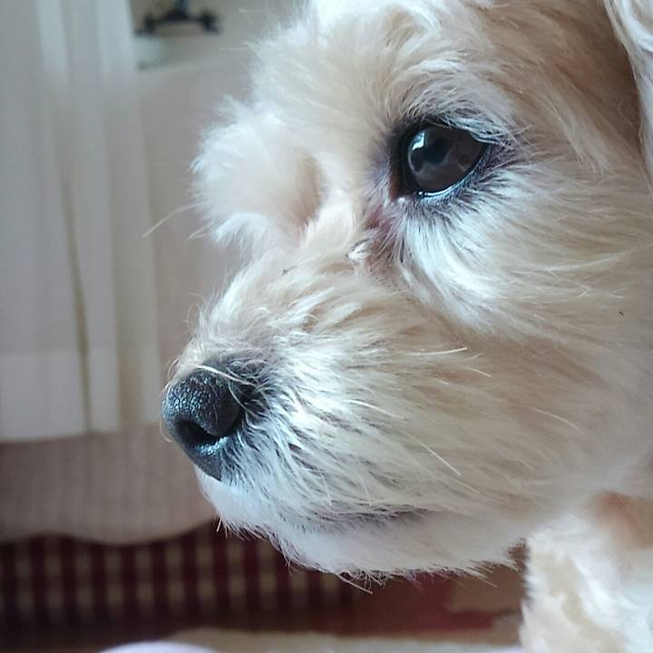 C8205bbb c659 4b4a 9090 9bd17ffcb7b7