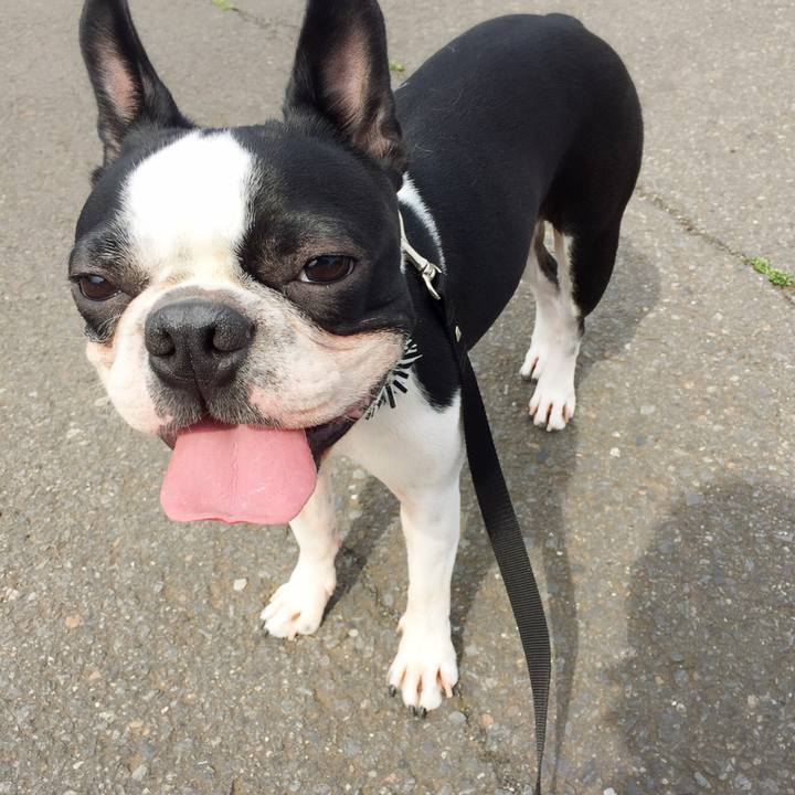 C820b353 f99e 4b9c bd9e 2751142c8868