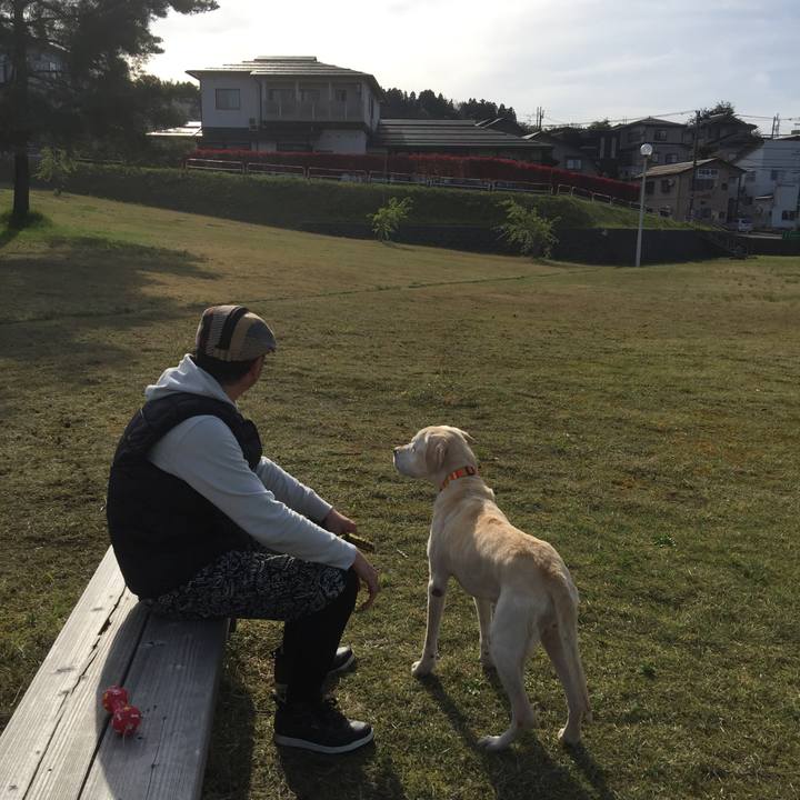 C821926d d403 40ea a623 063a7eba3d52