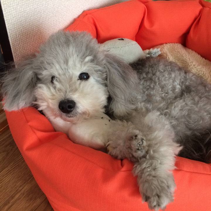 C8221546 be23 49e5 a59e d2904856af28