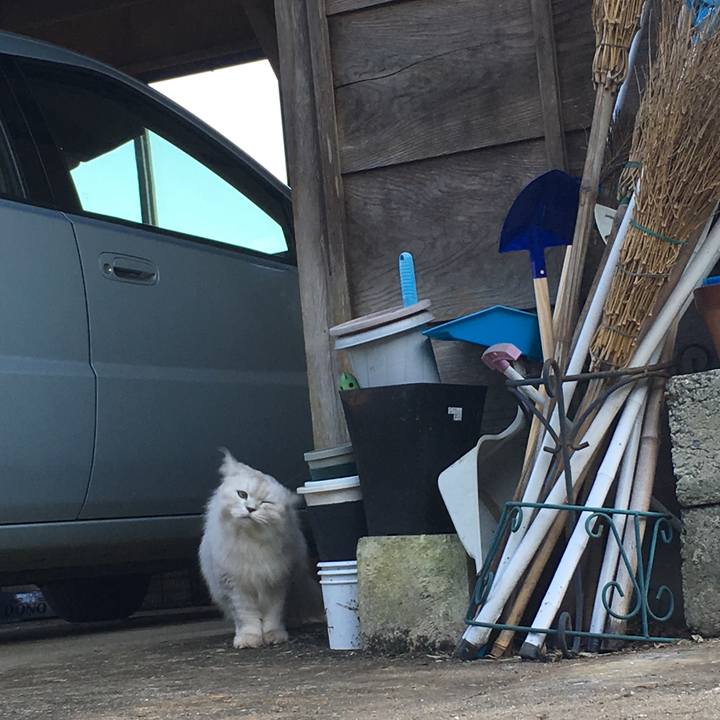 C822177f e54f 4c2d acb8 cefe13f2ca07