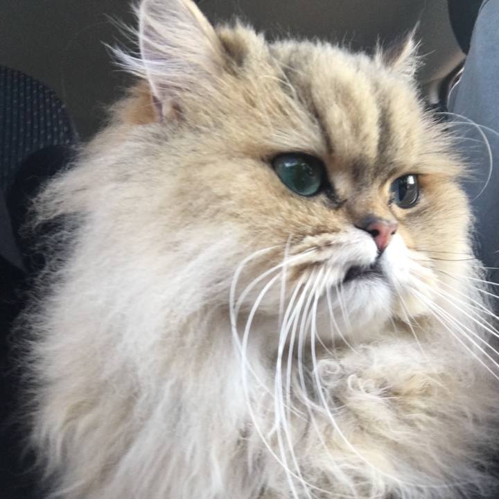 C82256ef 2e89 47f3 b2e4 2d2f77213972