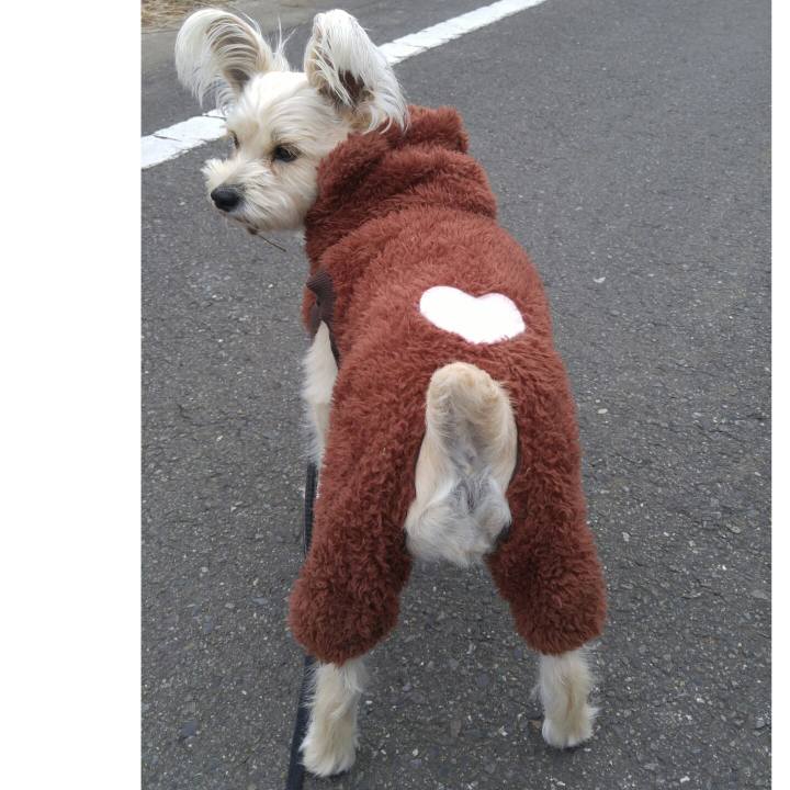 C8226313 a9c2 4de5 bb2c 3058b00f25f3