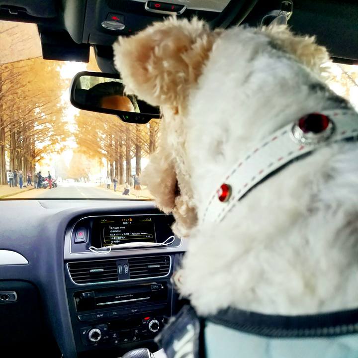 C822c616 89a7 4586 ae99 57b99be2b2a6