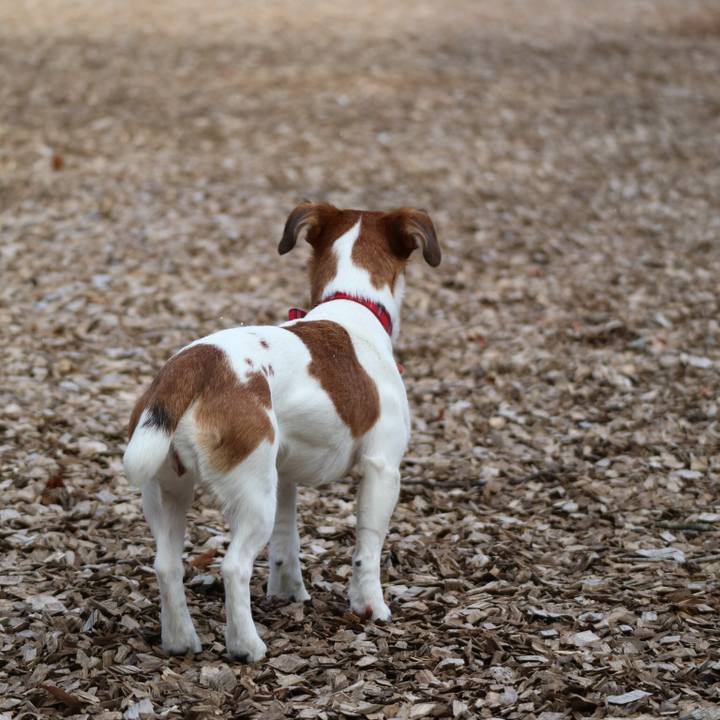 C823810e b996 4e60 8fe3 644aa46dcf59