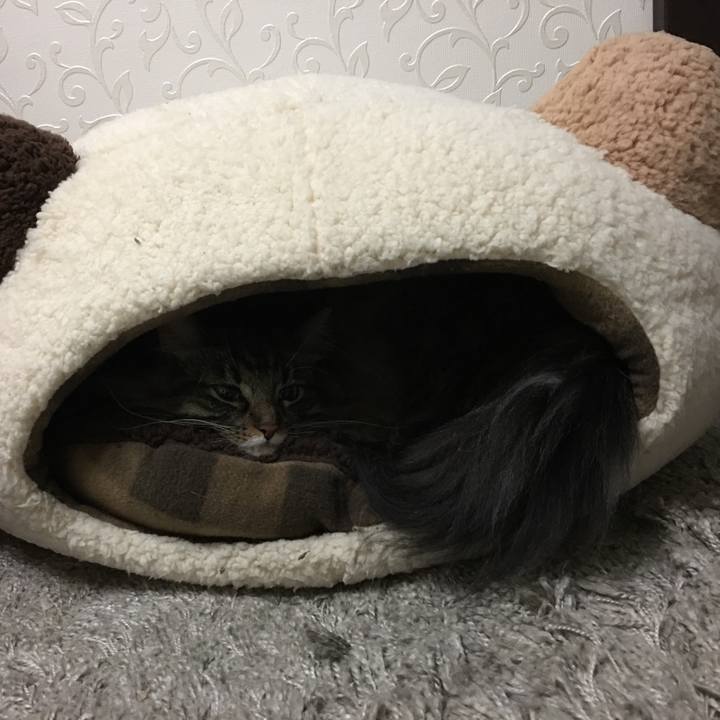 C8243a24 cbd5 4a99 8717 51d35c186ffe