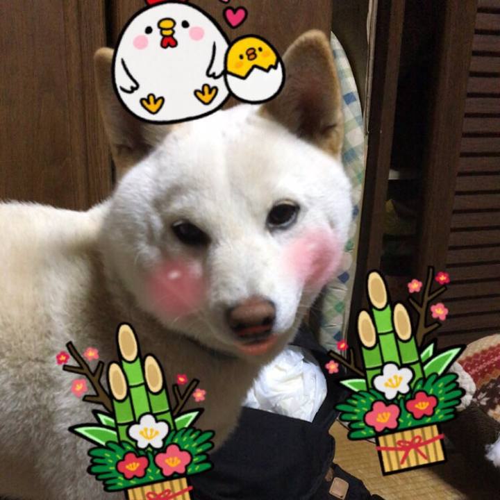 C824596a e75a 4ddd 9a71 3c487a66d842