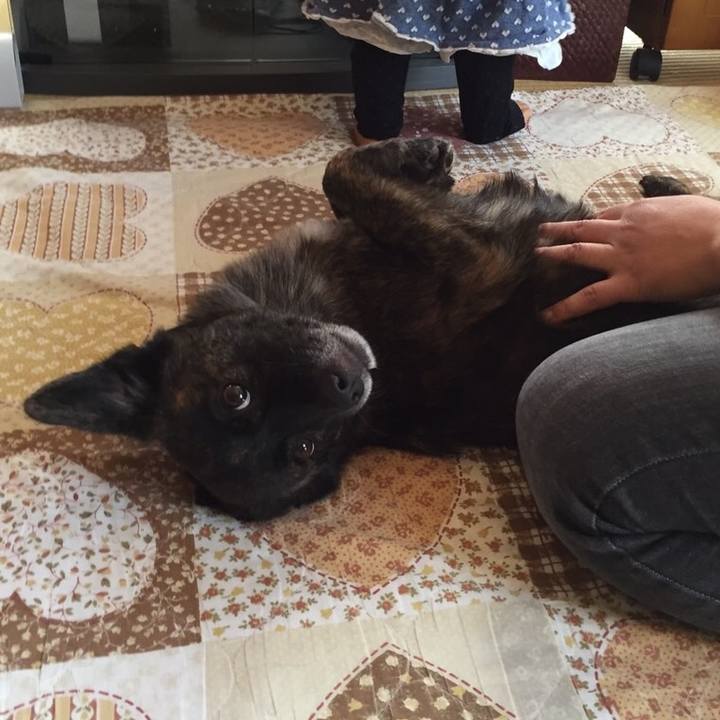 C8246d1c 7f15 4628 8fb1 a8f91e3f1cca