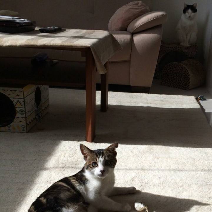 C8247db2 50c5 429d 9e7e ff68baa2202e