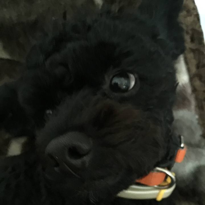 C824d116 f617 4ec7 b7a9 c0b467d4a8f1