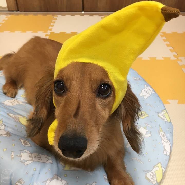 C8255082 dedc 47da b23e 7bb8ddbfc65d