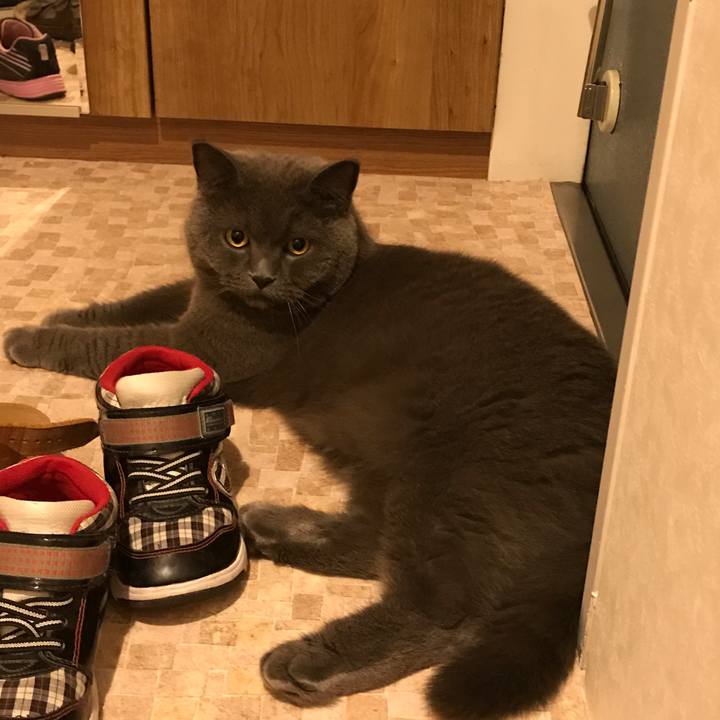 C8280dd1 860e 40f5 aed3 9c170940f796