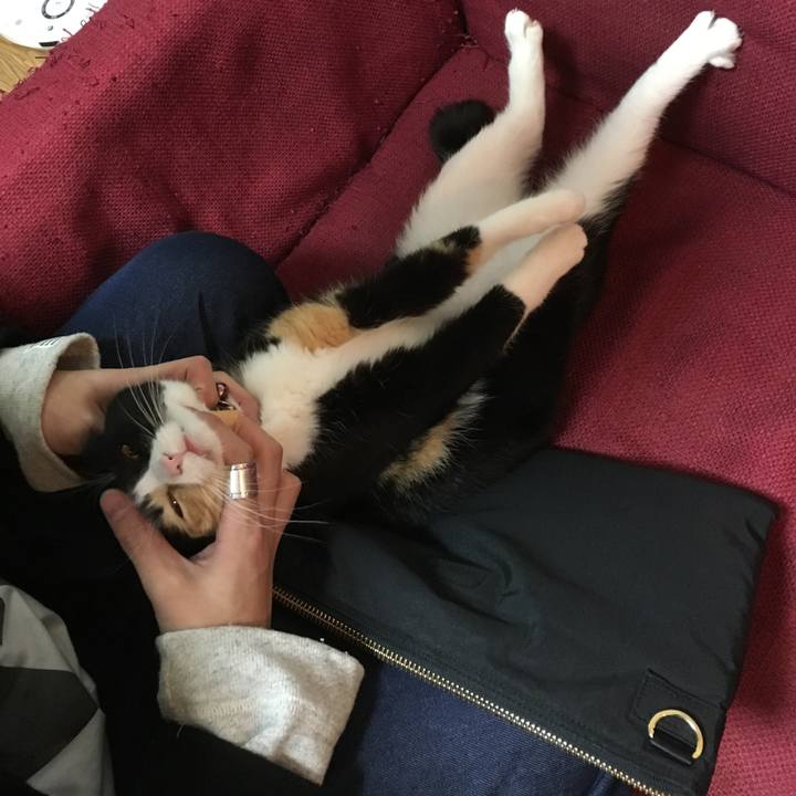 C8285a01 b5f1 4c78 a609 85a4e6d8e210