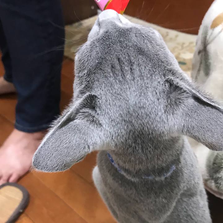 C828b0b2 c4ab 49f4 ad01 4f87da40399f