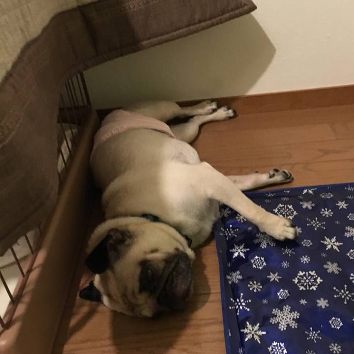 C8291a07 001f 4e6f b068 6e9307df0d26