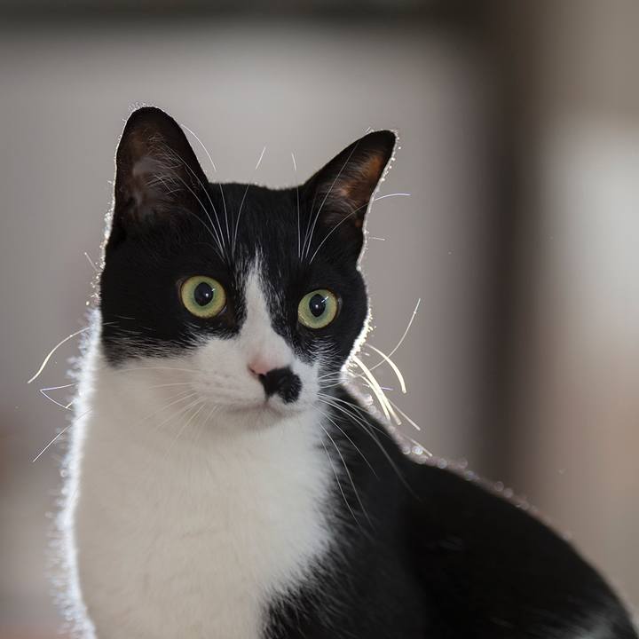 C82a32a8 7f56 49e9 9a0f e252e9f1820d