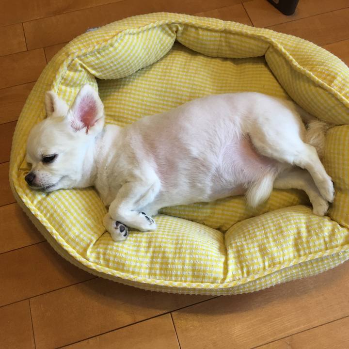 C82b4965 062a 4650 a945 5b4379478993