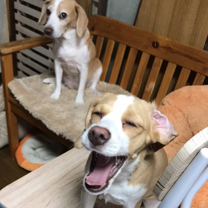 C82b5bae 7cb4 45b0 a02d 3f553454f07b