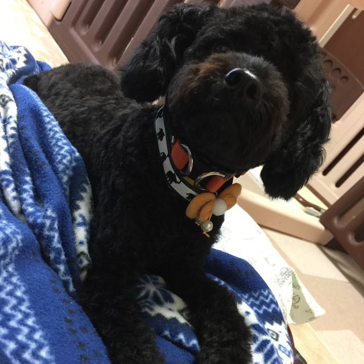 C82c829f a3d5 480b 9a43 505cdfbb5558