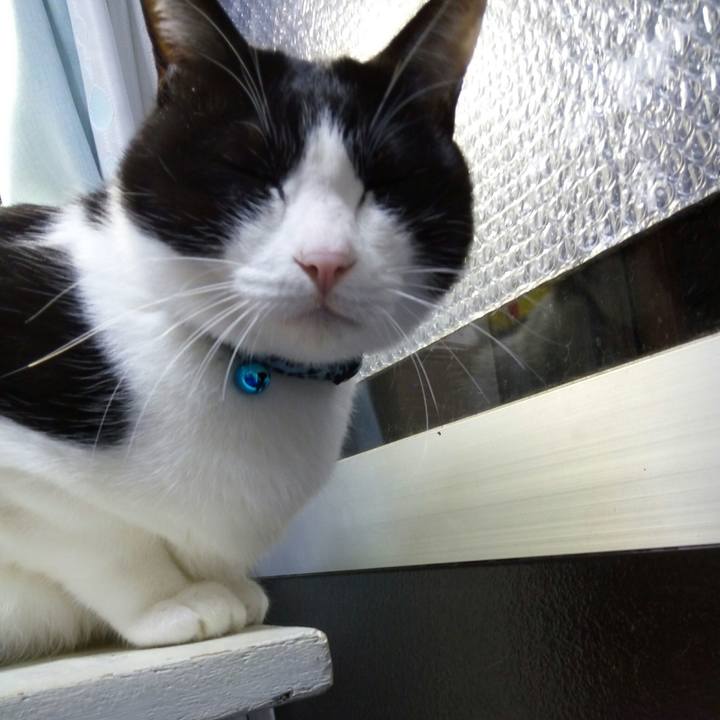 C82cd0ea d523 4265 a32b 840a3474d6bc