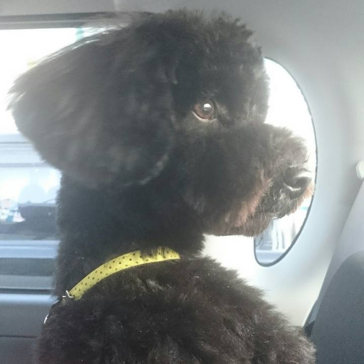 C82dbacd 9480 4029 b4ff 2fad67587394