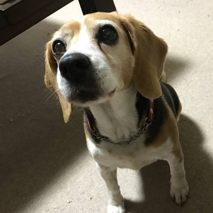 C82e4830 f385 4dee 805f e7f70192a39c