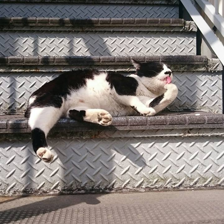 C82e5139 e8ec 45d0 80ff b7ad09772f1a