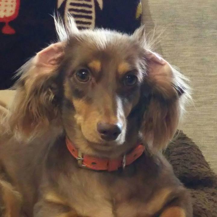 C82f48c6 6020 4e49 bcb1 4ceb7512b942