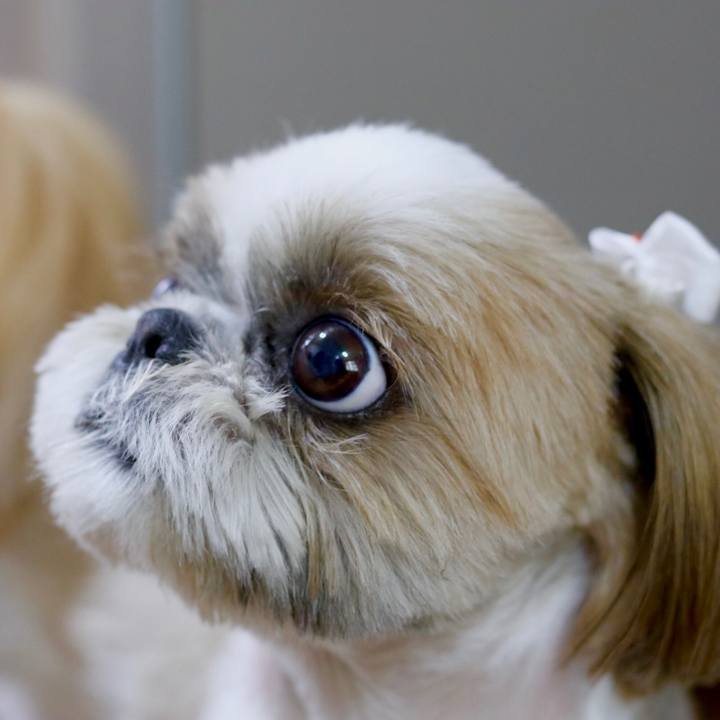 C83006a8 31d4 4100 96c2 4855aa90cca0