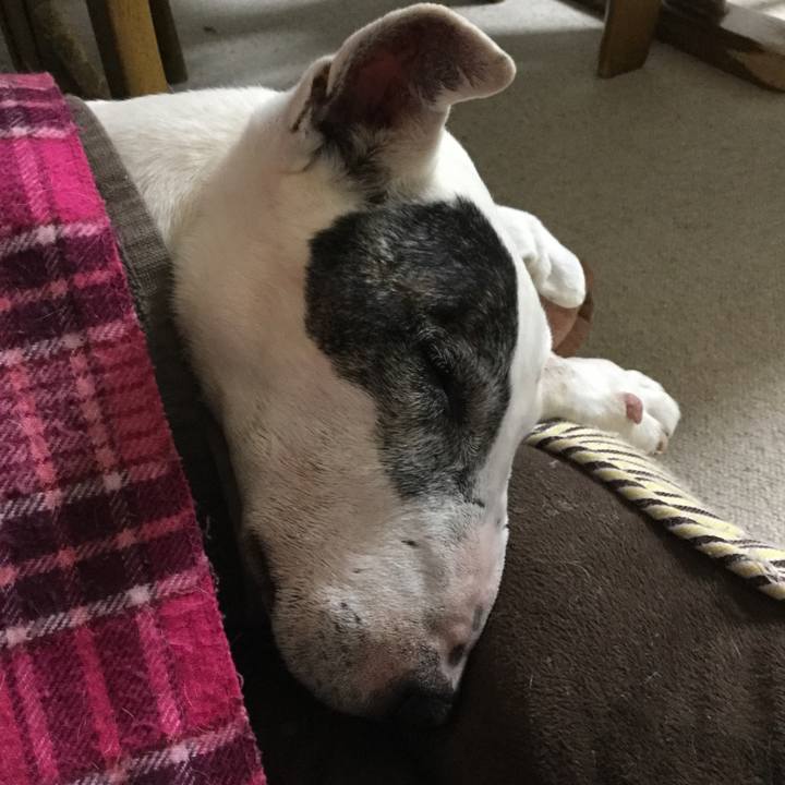 C8300f27 ec47 45a7 93bf 82b52365d612