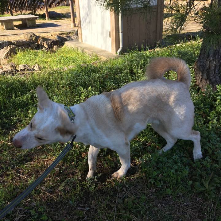 C830164f ca52 4abc 98b5 fa258218c347