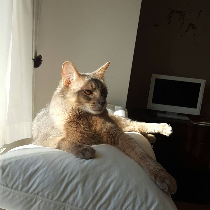 C83036a3 b2c4 4784 ad08 0338d93b2f12