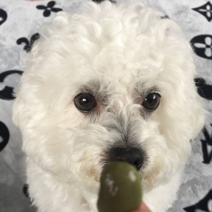 C8306376 ff97 479b 8321 0fe81c6270fd