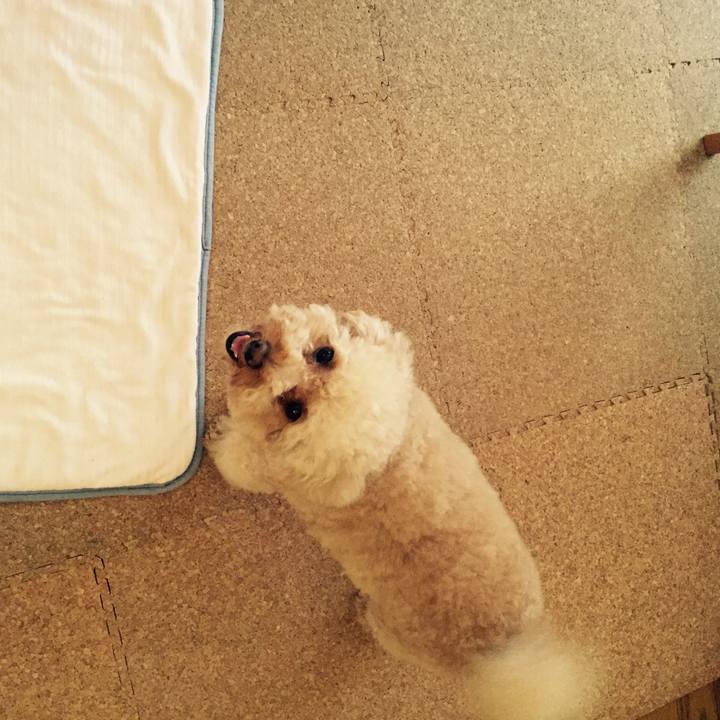 C830aaa6 0a70 4808 bb97 e255c066a518